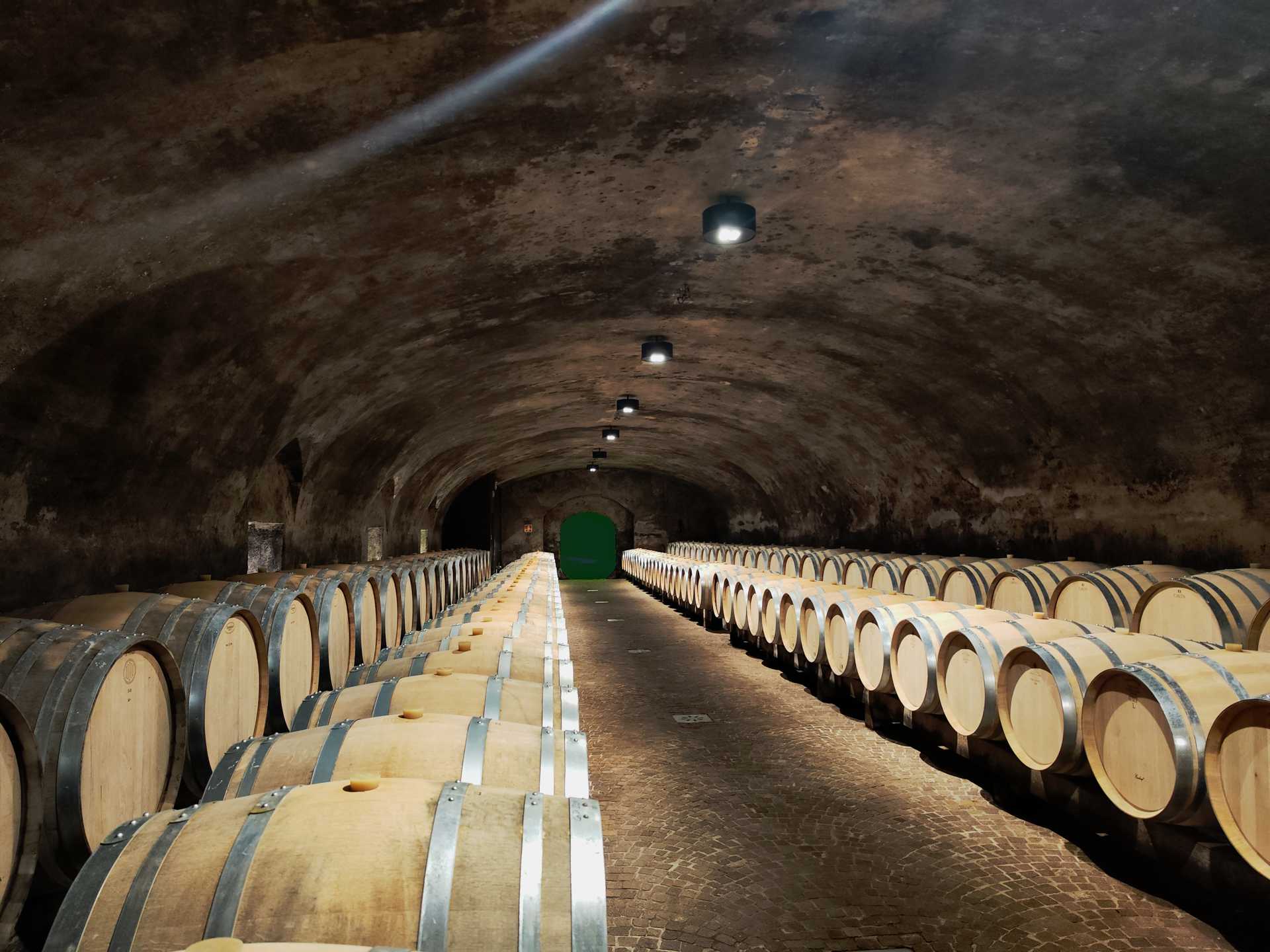 Barrique barrels from the San Michele / Appiano winery